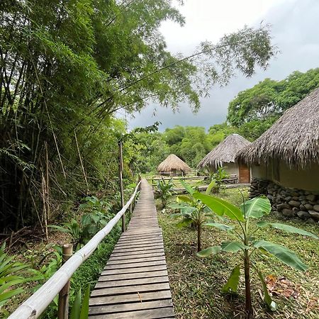 Las Cabanas Del Rio Minca Εξωτερικό φωτογραφία