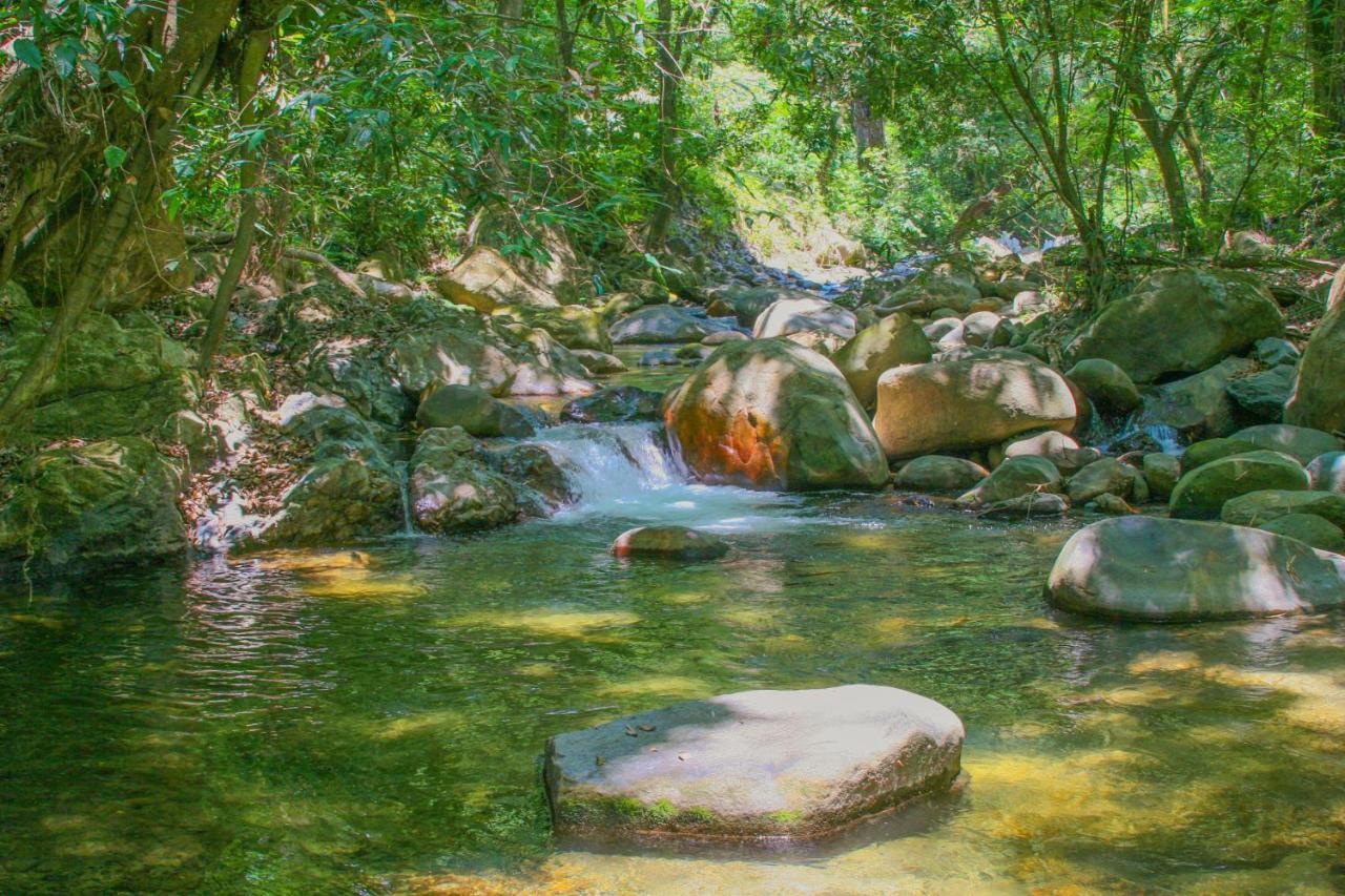 Las Cabanas Del Rio Minca Εξωτερικό φωτογραφία