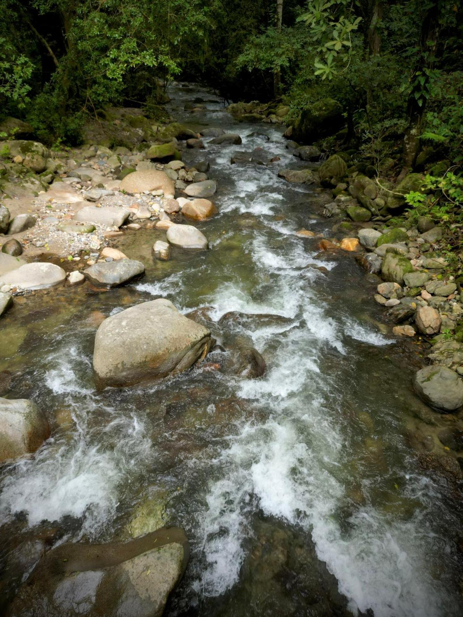 Las Cabanas Del Rio Minca Εξωτερικό φωτογραφία